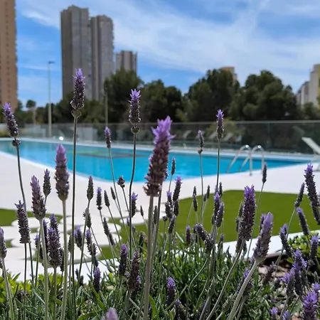 Eagle Tower Sweet Appartement Benidorm