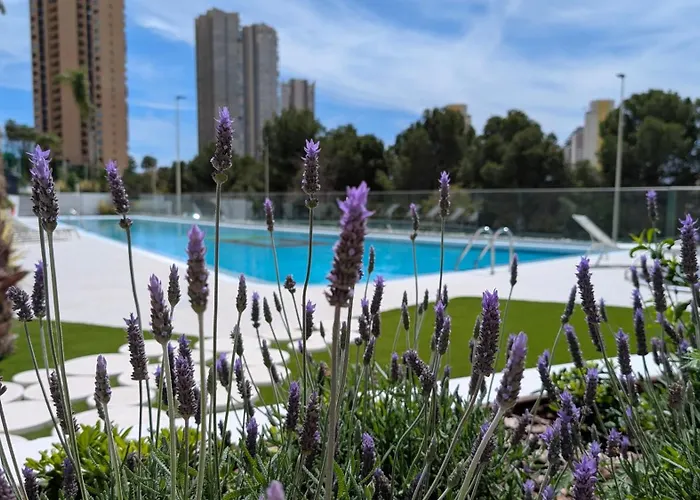 Eagle Tower Sweet Appartement Benidorm